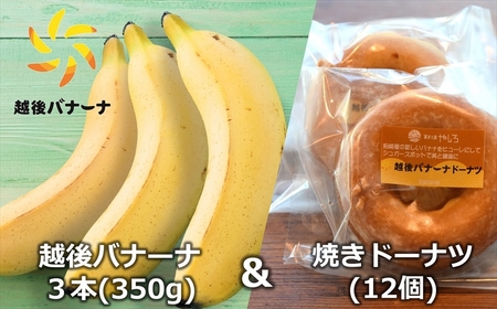 【雪国新潟産バナナ】越後バナーナ3本（350g）＆焼きドーナツ 12個 セット[ZC432]