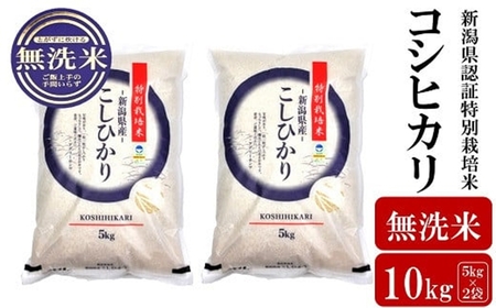 [令和6年産米]コシヒカリ 無洗米 10kg(5kg×2袋) 新潟県認証特別栽培米 お米 新潟県産 アグリーホンマ[Y0365]