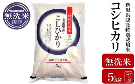 [令和6年産米]コシヒカリ 無洗米 5kg 新潟県認証特別栽培米 お米 新潟県産 アグリーホンマ[Y0363]