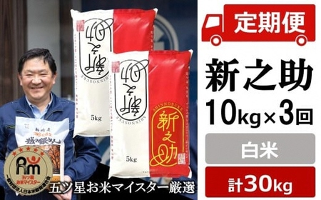 �ߘa7�N�Y�āy�܃c�����ă}�C�X�^�[���I�E3��������ցz�V�V�� ���� 10kg�i5kg×2�܁j×3��i�v 30kg�j[Y0265]