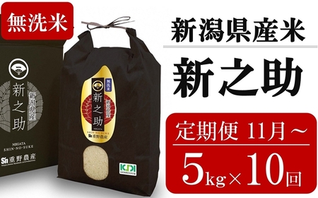 新米先行予約【定期便・11月～発送】新之助 無洗米 5kg×10回 （計 50kg）重ちゃんが愛情込めて作ったお米 令和6年産[ZM013]