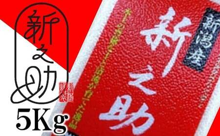 【令和6年産新米】真空パック 特別栽培米 新之助 無洗米 5kg 山波農場のお米 新潟県産 [Y0059]