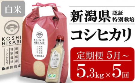 [定期便・5月〜発送]コシヒカリ 白米 5kg(ペットボトル米 300g 1本付き)×5回 (計 26.5kg)重ちゃんが愛情込めて作ったお米[Y0353]