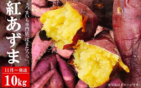 ys\E11`z܂ g 10kg VY ͂܂낤yʁEԌz[ZF324]