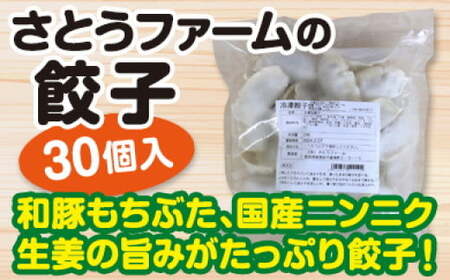 もちぶた餃子 30個入 × 2袋 もちぶた 豚 餃子 餃子 餃子 餃子 餃子 餃子 餃子