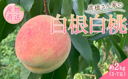  2kgi5`7ʁj ʕ    Â t[c  _ V Vcs takahashi002