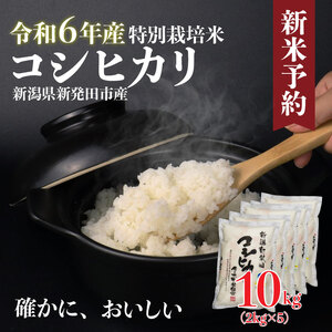 令和6年産 特別栽培米 コシヒカリ 10kg 2kg×5袋 米 白米 ご飯 料理 おにぎり 弁当 新潟県 新潟産 新発田 コシヒカリ 佐々木耕起組合 2kg 特別栽培 新潟県 新発田市 新米 非常食 備蓄 sasakikoki001_01