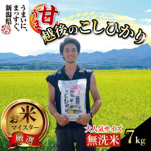 [令和6年産]無洗米 甘うま越後のこしひかり 7kg 越後 えちご 特別栽培米 新潟 コメ こめ お米 米 しんまい 新潟県 新潟米 新発田市 新発田産 10月発送 toushin005