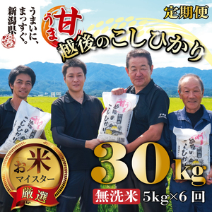 [令和6年産] 新米 無洗米 コシヒカリ 定期便 5kg 6ヵ月 30kg 甘うま越後のこしひかり 越後 えちご 特別栽培米 新潟 コメ こめ お米 米 しんまい 新潟県 新潟米 新発田市 新発田産 toushin007