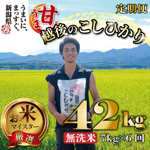 [令和6年産] 新米 無洗米 コシヒカリ 定期便 7kg 6ヵ月 42kg 甘うま越後のこしひかり 越後 えちご 特別栽培米 新潟 コメ こめ お米 米 しんまい 新潟県 新潟米 新発田市 新発田産 toushin009