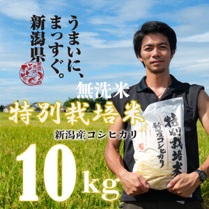 [令和6年産] 新米 無洗米 コシヒカリ 10kg 5kg 2袋 新潟産 特別栽培米 こしひかり 斗伸 新潟県 コメ お米 米 こめ しんまい 新潟米 新潟 新発田 toushin011