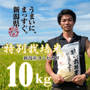 [令和6年産] 新米 コシヒカリ 10kg 5kg 2袋 新潟産 特別栽培米 こしひかり 斗伸 新潟県 コメ お米 米 こめ しんまい 新潟米 新潟 新発田 toushin012