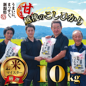 コシヒカリ 10kg 5kg 2袋 甘うま越後のこしひかり 新潟産こしひかり 甘いこしひかり うまいこしひかり 米 玄米 新発田のこしひかり toushin014_01