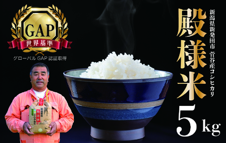 �R�V�q�J�� ���� ���� ���� �͔| ���ʍ͔|�� �V�����Y �z�㐛�J�a�l�� 5�s �ߘa7�N�Y  �V�����Y �V���c�Y �� 5kg �z�㐛�J �a�l�� �R�V�q�J�� D05_04