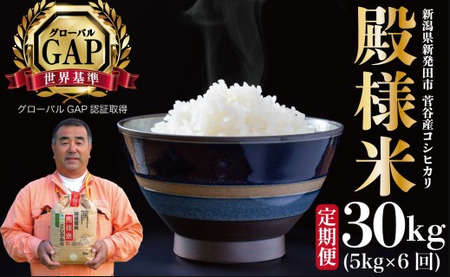 �y����ցz�ߘa7�N�Y �V�����Y �z�㐛�J�a�l�� 5�s 6���� 30kg ���� �V���� �V���Y �V���c�Y �� �R�V�q�J�� ���ʍ͔|�� �z�㐛�J�Ĕ̔� 5kg 6���� ����� �a�l ���ʌ���  D16_03