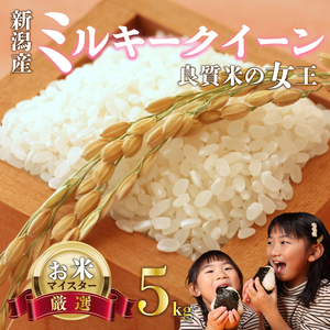 ミルキークイーン 5kg お米 米 白米 こめ 令和6年産 米 備蓄 お米 新潟産 新潟県 新潟 新発田 斗伸 toushin015_01