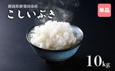 ߘa7NY VYԂ 10kg 5kg×2 y V VY V VcY Vc   Ԃ ƂƂs  5kg 10kg ʌ  D55_04 z