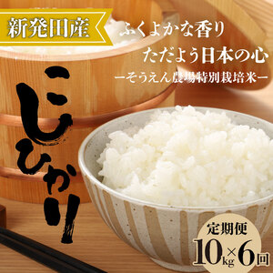 yցzߘa7NY VY RVqJ 10s×6 V VY  V VcY Vc   ăRVqJ 10kg 60kg 6  ʌ ƂƂs  V