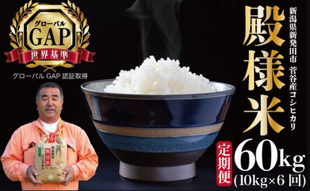 �y����ցz�ߘa7�N�Y �R�V�q�J�� �a�l�� 10�s×6���� �V���� �V���Y �V���c�Y ��  ���� �R�V�q�J�� ���ʍ͔|�� �z�㐛�J�Ĕ̔� 10kg 6���� 60kg ����� �a�l ���ʌ��� D17_02