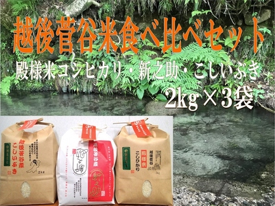 新米 令和6年産 越後菅谷米食べ比べセット 2kg×3袋 [ 新潟産 新発田市 米 食べ比べ セット コシヒカリ 新之助 こしいぶき 殿様米 菅谷 2kg 3袋 数量限定 ]D24_02