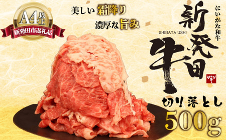 黒毛和牛 新発田牛 切り落とし 500g 冷凍 牛肉切り落とし牛肉切り落とし牛肉切り落とし牛肉切り落とし牛肉切り落とし牛肉切り落とし enomoto001