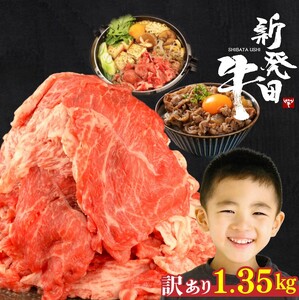 訳あり 新発田牛 切り落とし 1.35kg 近江牛 神戸牛 松阪牛 三大和牛 負けない 牛肉切り落とし牛肉切り落としenomoto002