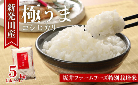 ߘa7NY VY RVqJ 5kg t@[ ʍ͔|ăRVqJ V Vc      ɂ ٓ Ђ   V Vc D83_02