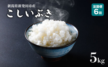 yցz ߘa7NY VY Ԃ 5s×6 y V VY V VcY Vc   Ԃ ƂƂs  5kg 30kg 6 N  ʌ  D56_03 z