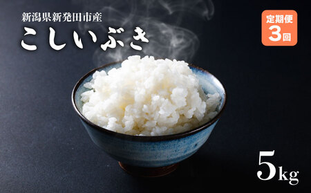 yցz ߘa7NY VYԂ 5s×3 y V VY V VcY Vc   Ԃ ƂƂs  5kg 15kg 3  ʌ  D58_03 z