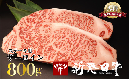にいがた和牛 サーロインステーキ 800g サーロインステーキ サーロインステーキ サーロインステーキ enomoto011