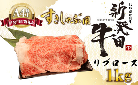 Vc u[XXCX 1kg enomoto015 u[Xu[Xu[Xu[Xu[Xu[Xu[X