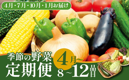 [4月開始] 野菜定期便 年4回 8〜12種類 数量限定 野菜定期便 詰め合わせ 旬 野菜BOX 詰め合わせ 野菜定期便 野菜定期便 せいだ seida010