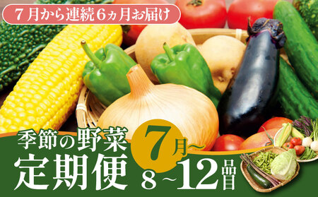 [7月開始] 野菜定期便 年6回 8〜12種類 数量限定 野菜 定期便 セット 詰め合わせ 旬 おまかせ 野菜BOX 詰め合わせ 野菜定期便 ふるさと納税野菜 やさい ていばん セット 産地直送 せいだ 新潟 新発田 seida015