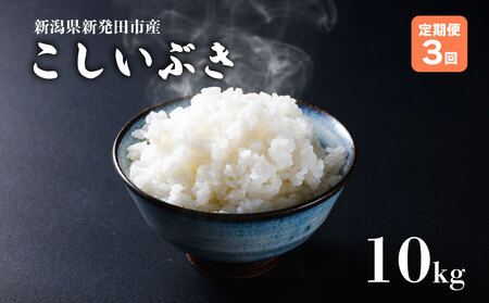 yցz ߘa7NY VYԂ 10s×3 y V VY V VcY Vc   Ԃ ƂƂs  5kg 10kg 30kg 3  ʌ  D59_03 z