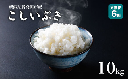 yցz ߘa7NY VYԂ 10s×6 y V VY V VcY Vc   Ԃ ƂƂs  5kg 10kg 60kg 2 6 N  ʌ  D57_03