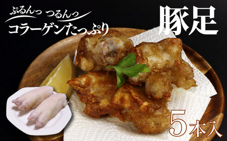 ؑ 5{ Y ؓ ܂ R[Q BBQ o[xL[ AEghA ύݗ   ؑ TgEt[Y V Vcs satofoods003