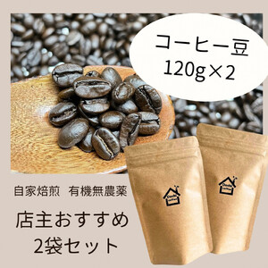 コーヒー豆 2種焙煎豆セット 農薬不使用 自家焙煎 フェアトレードコーヒー オーガニック 有機栽培 コーヒー豆 コーヒー豆 C57
