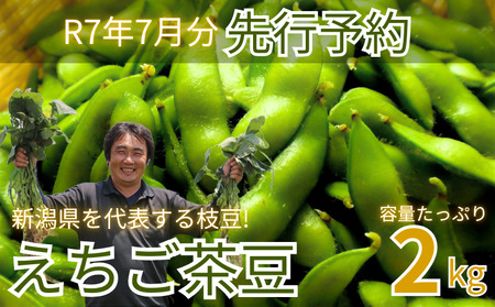 【先行予約】新発田市産枝豆 えちご茶豆 2kg 早期予約 予約 来夏 茶豆 枝豆 新発田の枝豆 2kg 数量限定 genzou002