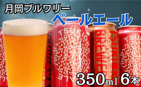 地ビール ペールエール 6缶セット 地ビール 地ビール 地ビール 地ビール shinbo015