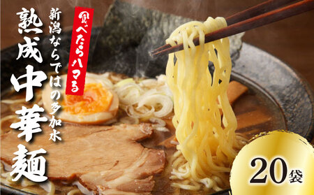 ؂ 20 [ ߑn  ؖ [ [ [ [ [ [ furuyama002