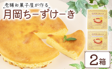 チーズケーキ 2箱 月岡ちーずけーき チーズケーキ チーズケーキ チーズケーキ チーズケーキ seida028
