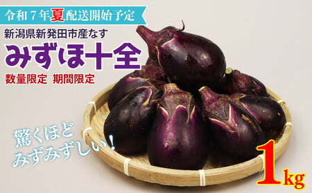 なす 1kg 約15個 みずほ十全 なす なす なす なす なす なす nozofarm002