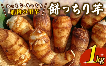 里芋 「餅っちり芋」 1kg 令和7年産 新鮮 採りたて 希少 里芋 特産品 里芋 里芋 里芋 tsuguchan003