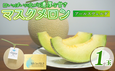 y2026N9{Jnz }XN 1  t[c Mtg ʕ  Gߌ Â  蕨  Yn VN n Y XC[c fU[g W[V[ p v