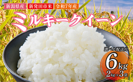 [先行予約]令和7年産 ミルキークイーン 6kg(2kg×3) 白米 玄米 ミルキークイーン 新発田市産 [2025年11月発送] D10_02_202511