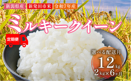 [定期便]先行予約 令和7年産 ミルキークイーン 2kg 6ヶ月 白米 玄米 新潟県 新発田市産 [2025年10月発送] D42_002_202510