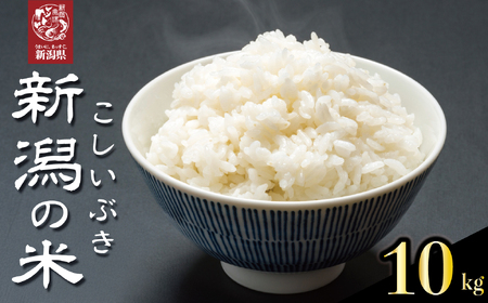 米 新米 こしいぶき 10kg [令和7年産 新米 先行予約] 新潟県 新発田市 toushin039