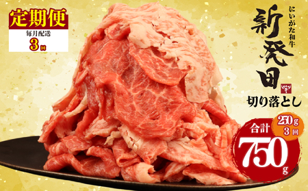 [3回定期便 ]牛肉 切り落とし 新発田牛 計750g 切り落とし enomoto023