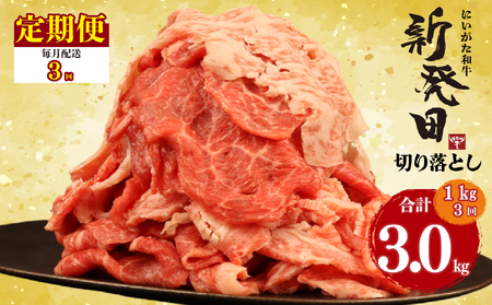 y3 z  ؂藎Ƃ Vc v3kg ؂藎Ƃ enomoto029