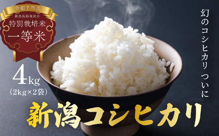 [発送日がわかる!]米 コシヒカリ 特別栽培米 昔ながら 玄米 新潟 新発田 hoshino003